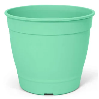 Vaso Aquarela Sem prato N 3,5 Nutriplan