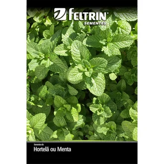 Semente de Hortelã / Menta Piperita Feltrin