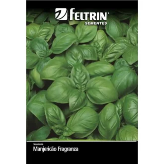 Semente de Manjericão Fragranza Feltrin