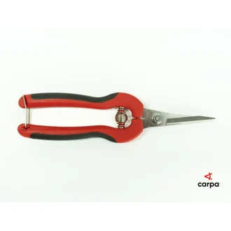 Tesoura Colheita Inox Carpa